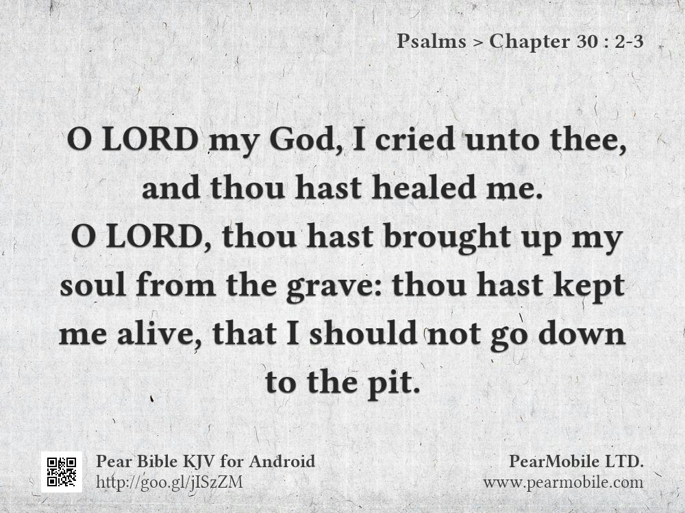 Psalms, Chapter 30:2-3
